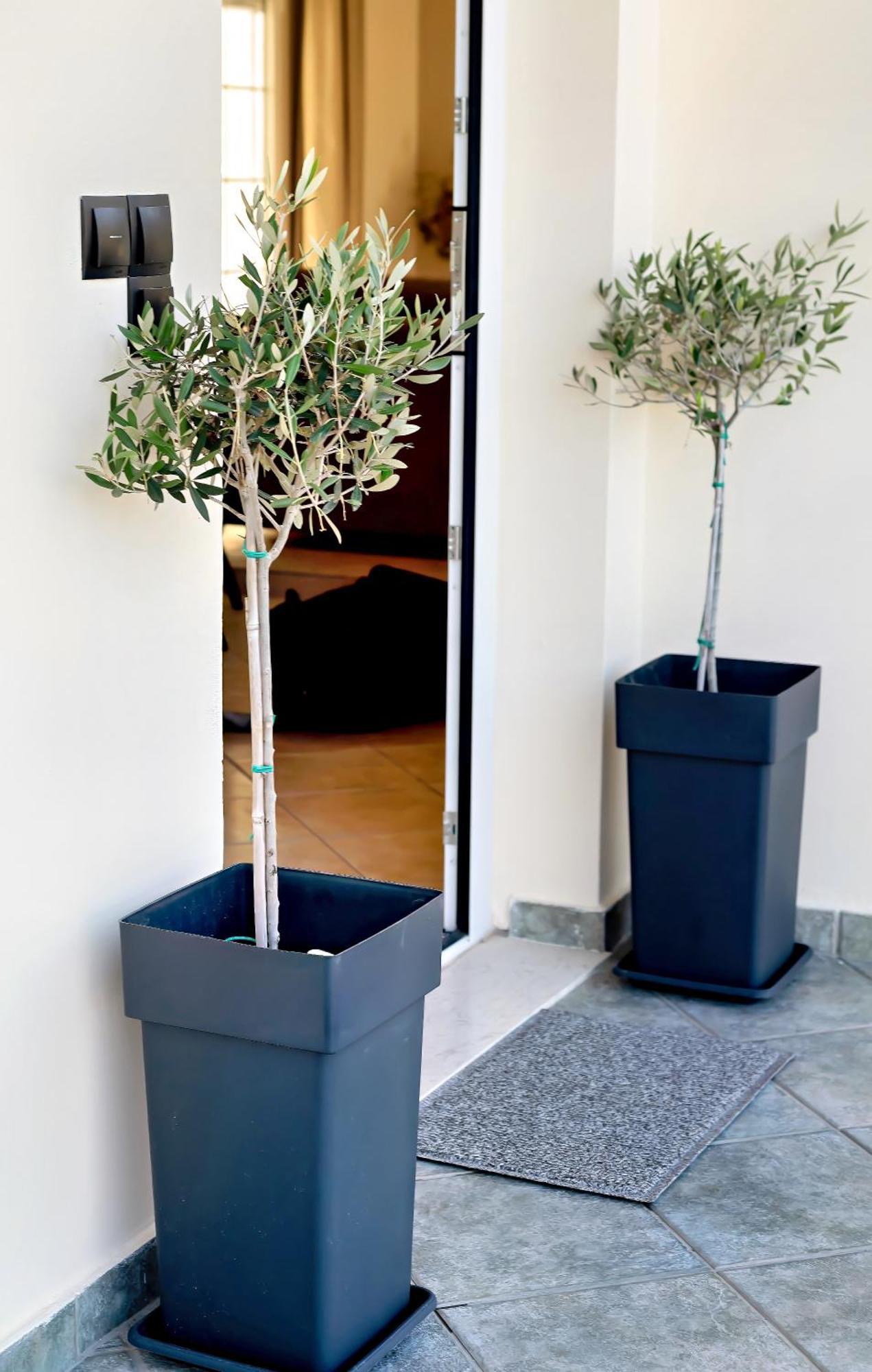Apartment Dioni